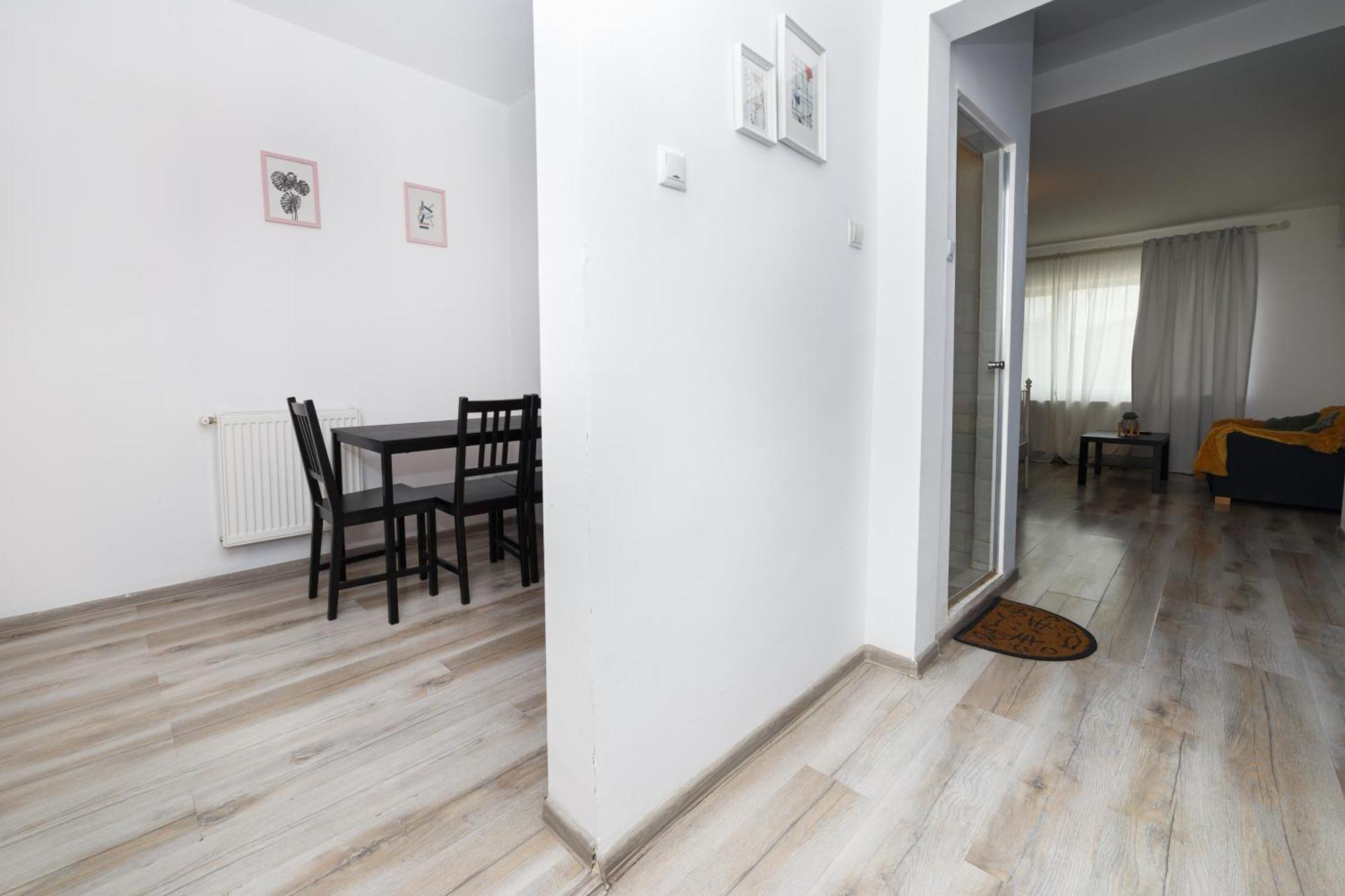 Antic Apartament
